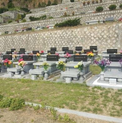 공원묘