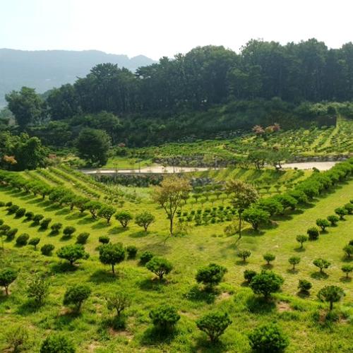 수목장가족 by 하늘향 추모공원