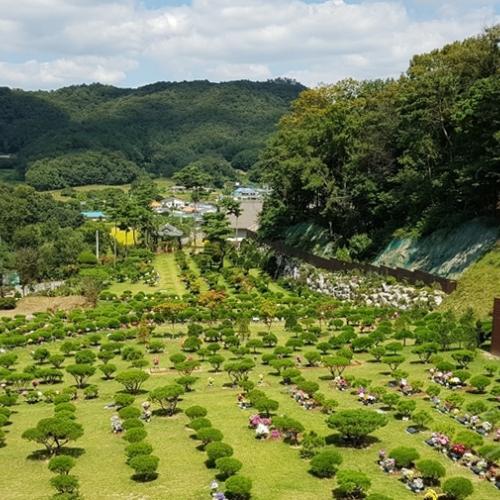 수목장지 by 하늘향 추모공원