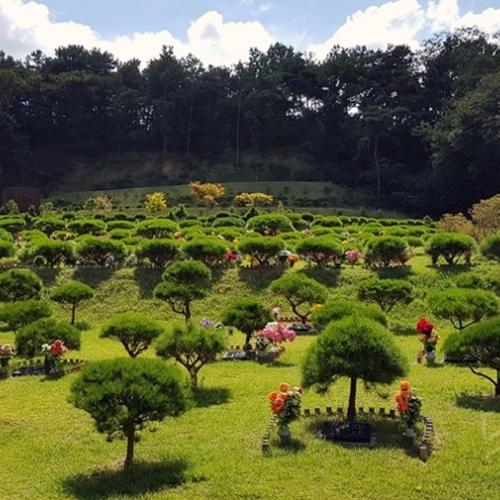 수목장 by 하늘향 추모공원