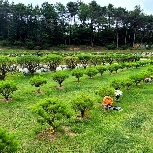 수목장경기도 by 하늘향 추모공원