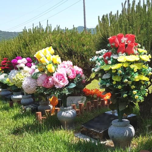 수목장 by 하늘향 추모공원