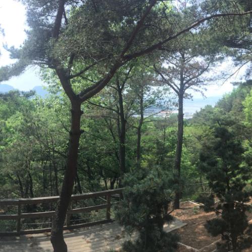 수목장 by 하늘향 추모공원