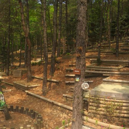 수목장지 by 하늘향 추모공원