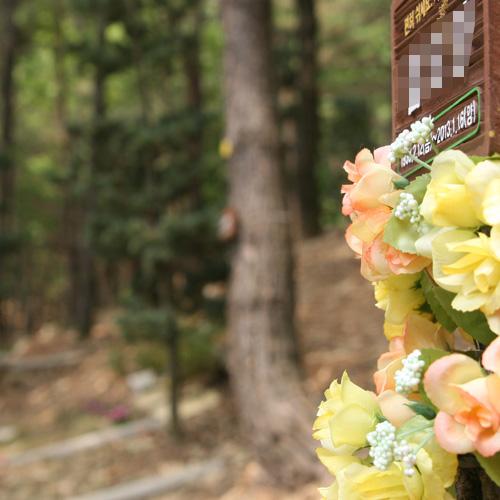 경기수목장 by 하늘향 추모공원