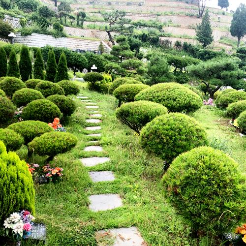 의정부 근방 가까운 장흥수목장