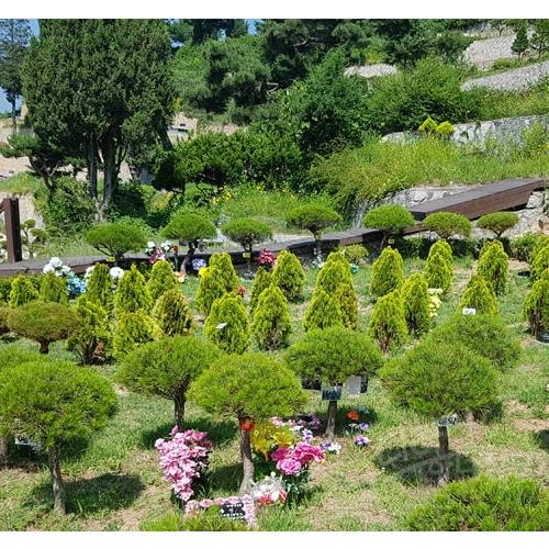 장흥 송추수목장지