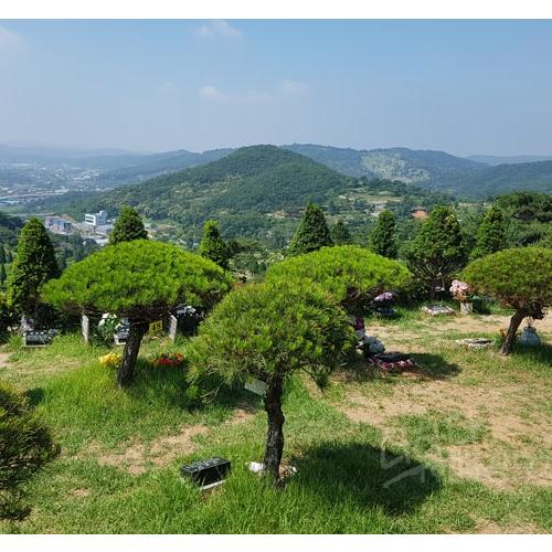 장흥 송추수목장