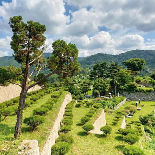 경기도 장흥수목장 by 하늘향 추모공원