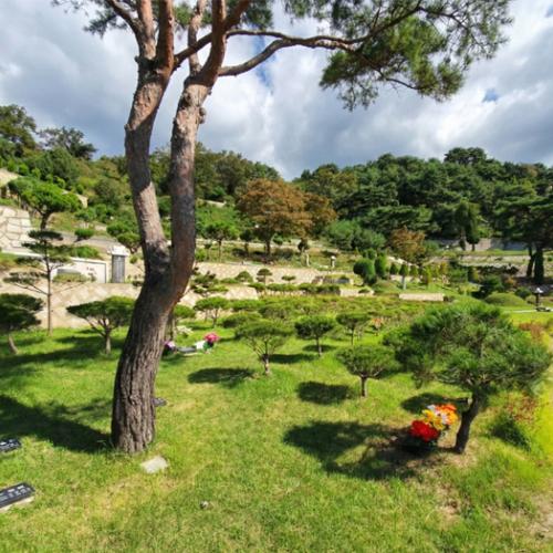 장흥수목장 by 하늘향 추모공원