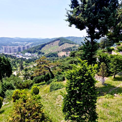 장흥수목장 by 하늘향 추모공원