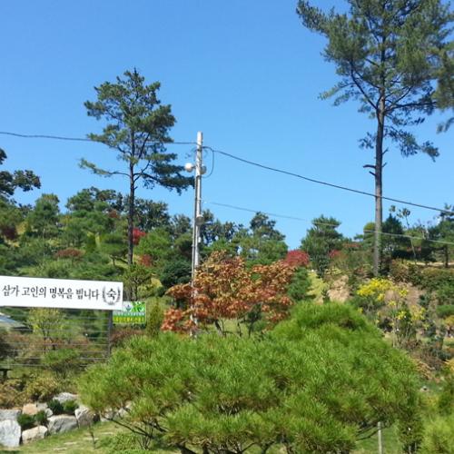 수목장추천 by 하늘향 추모공원