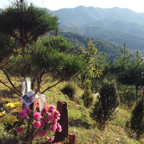 수목장추천 by 하늘향 추모공원