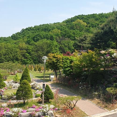 가족수목장 by 하늘향 추모공원