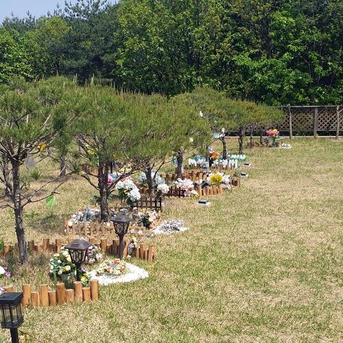 경기수목장 by 하늘향 추모공원