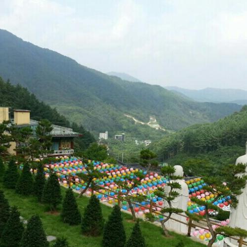 수목장분양 by 하늘향 추모공원