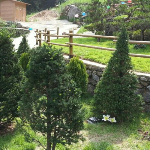 수목장 자연장 by 하늘향 추모공원