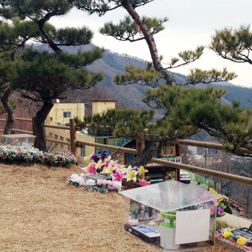 수목장시설 by 하늘향 추모공원