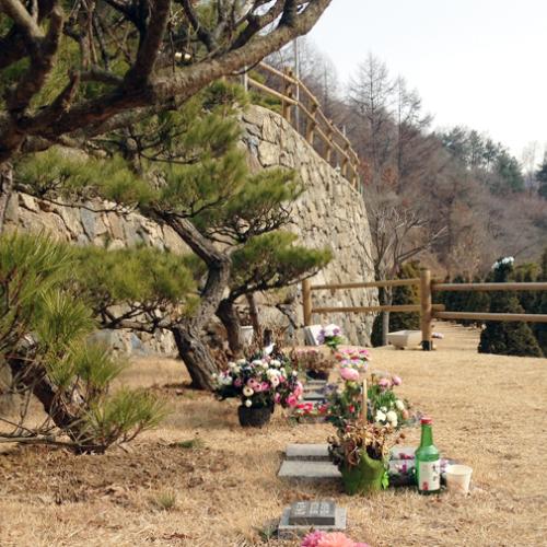 수목장지 by 하늘향 추모공원