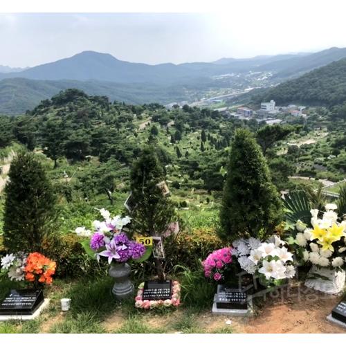 장흥 송추수목장